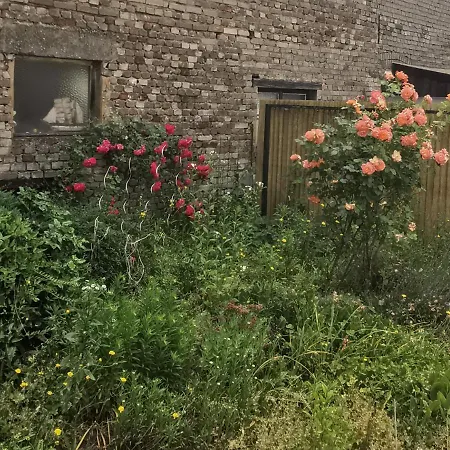 Handwerker Unterkunft Monteurzimmer Mit Gemeinschaftsbad In Brebach Saarbruecken Exterior photo